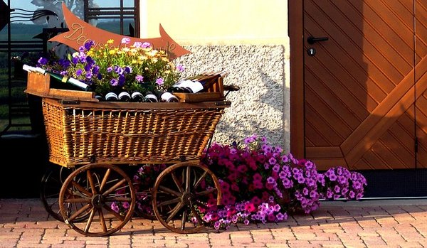Où trouver les meilleurs vins d'Alsace dans la région ?