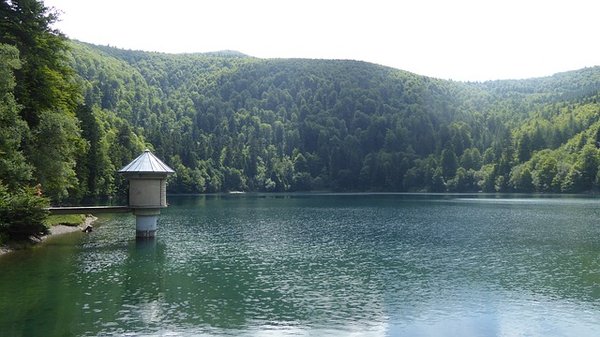 Découvrez les incroyables réserves naturelles à explorer en Alsace