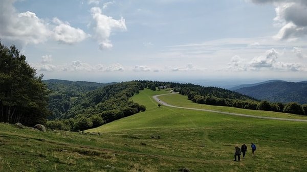 Où observer la faune et la flore locales lors d'une randonnée en Alsace ?