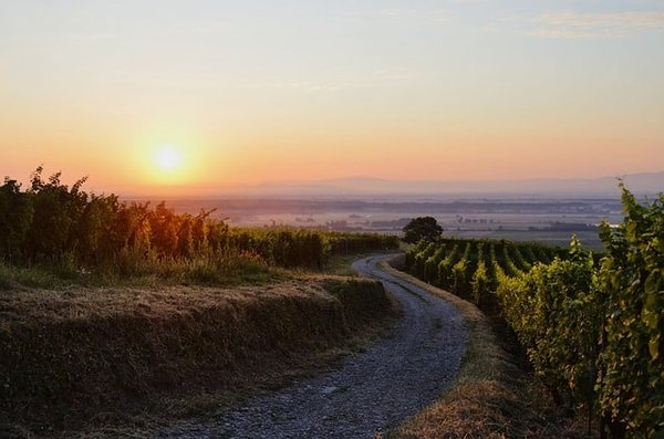 Combien de jours faut-il pour parcourir la Route des Vins d'Alsace à vélo ?