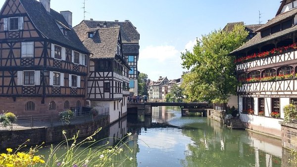 Découvrez les Meilleurs Campings Familiaux en Alsace pour des Vacances Mémorables