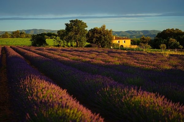 Top 10 des Campings à Découvrir pour un Séjour Idyllique en Provence